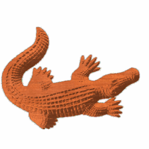 Alligator